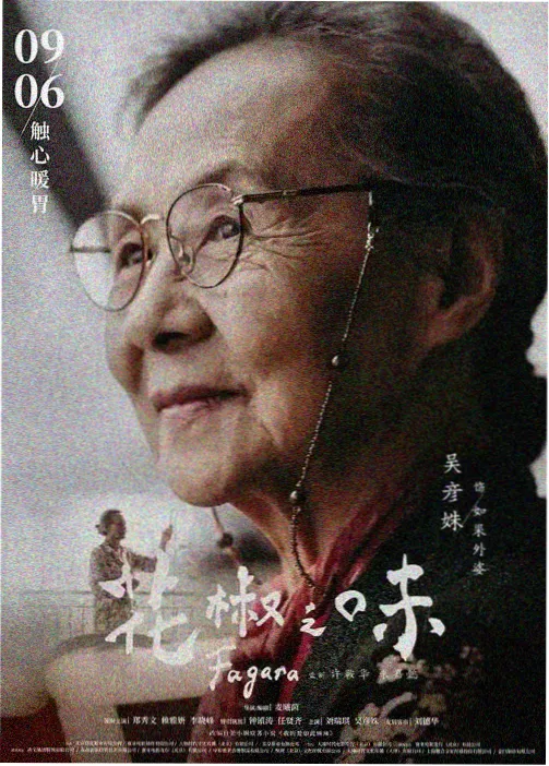 城墙马面间距复测数据的封面图